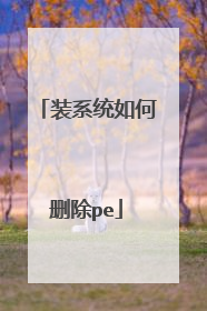 装系统如何删除pe