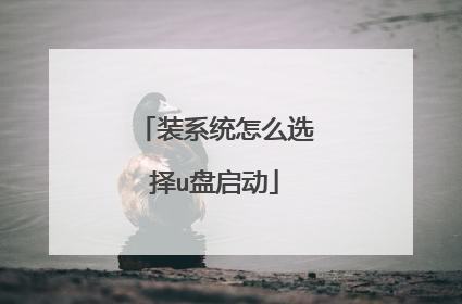 装系统怎么选择u盘启动
