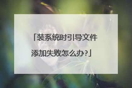 装系统时引导文件添加失败怎么办?