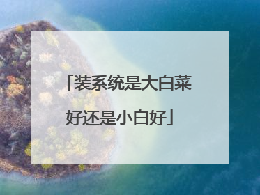 装系统是大白菜好还是小白好