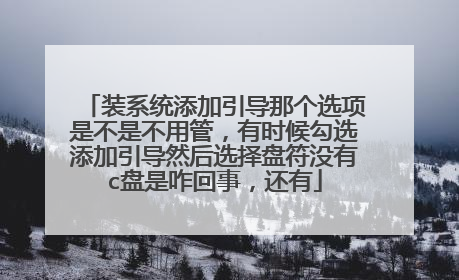 装系统添加引导那个选项是不是不用管，有时候勾选添加引导然后选择盘符没有c盘是咋回事，还有