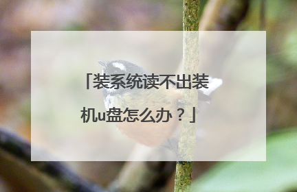 装系统读不出装机u盘怎么办？