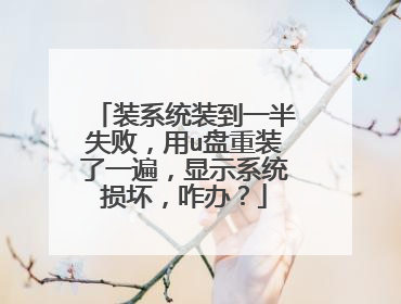 装系统装到一半失败,用u盘重装了一遍,显示系统损坏,咋办?