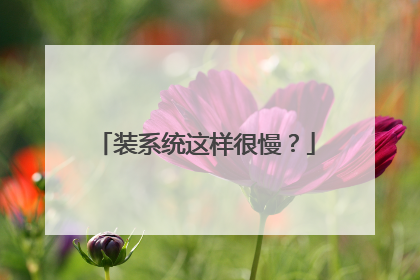 装系统这样很慢?