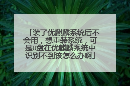 装了优麒麟系统后不会用,想重装系统,可是U盘在优麒麟系统中识别不到该怎么办啊