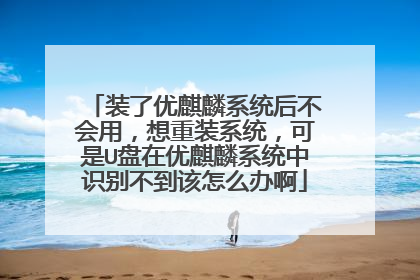 装了优麒麟系统后不会用,想重装系统,可是U盘在优麒麟系统中识别不到该怎么办啊