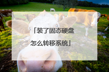 装了固态硬盘怎么转移系统
