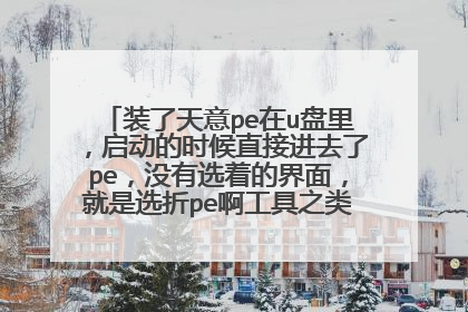 装了天意pe在u盘里,启动的时候直接进去了pe,没有选着的界面,就是选折pe啊工具之类的那个界面,
