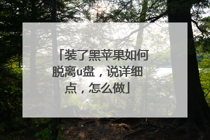 装了黑苹果如何脱离u盘,说详细点,怎么做