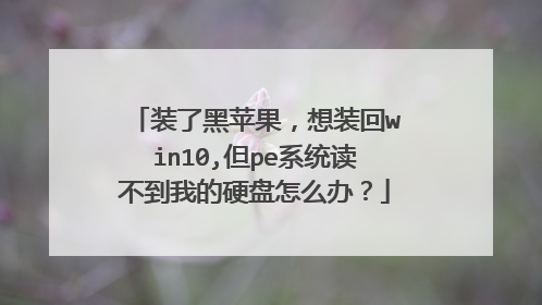 装了黑苹果，想装回win10,但pe系统读不到我的硬盘怎么办？