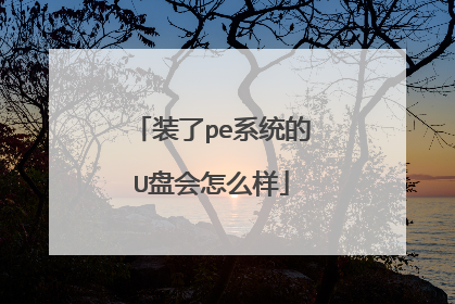 装了pe系统的U盘会怎么样