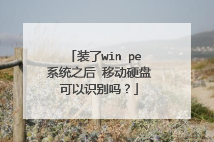 装了win pe系统之后 移动硬盘可以识别吗?