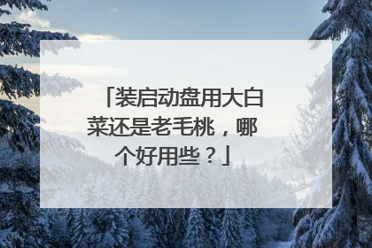 装启动盘用大白菜还是老毛桃,哪个好用些?