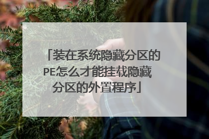 装在系统隐藏分区的PE怎么才能挂载隐藏分区的外置程序
