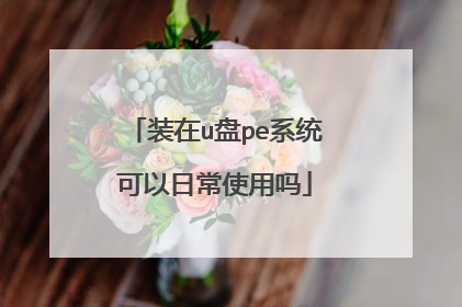 装在u盘pe系统可以日常使用吗