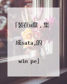 装在u盘,集成sata,的win pe