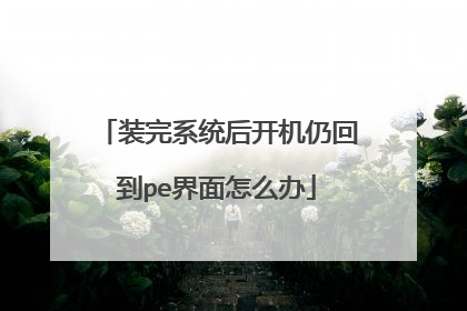 装完系统后开机仍回到pe界面怎么办