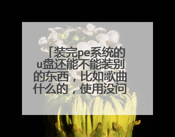 装完pe系统的u盘还能不能装别的东西,比如歌曲什么的,使用没问题吧?