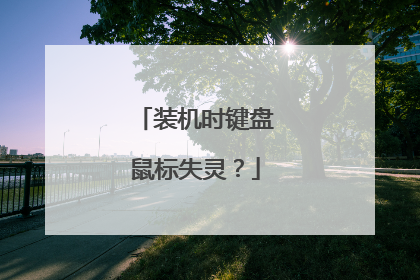 装机时键盘鼠标失灵?