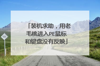 装机求助，用老毛桃进入PE鼠标和键盘没有反映