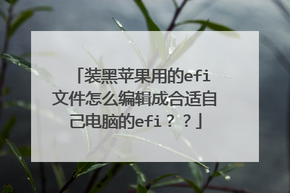 装黑苹果用的efi文件怎么编辑成合适自己电脑的efi??