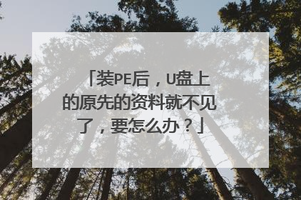 装PE后，U盘上的原先的资料就不见了，要怎么办？