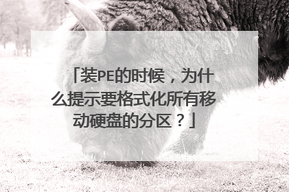 装PE的时候,为什么提示要格式化所有移动硬盘的分区?