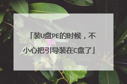 装U盘PE的时候,不小心把引导装在C盘了