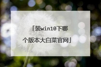 装win10下哪个版本大白菜官网