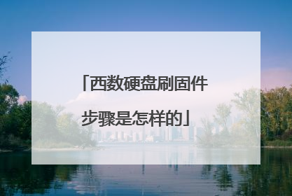 西数硬盘刷固件步骤是怎样的