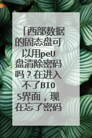 西部数据的固态盘可以用peU盘清除密码吗?在进入不了BIOS界面,现在忘了密码无法登录电脑的前提下