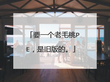 要一个老毛桃PE,是旧版的。