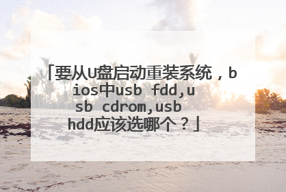 要从U盘启动重装系统，bios中usb fdd,usb cdrom,usb hdd应该选哪个？
