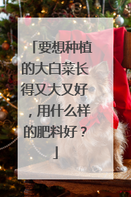 要想种植的大白菜长得又大又好，用什么样的肥料好？
