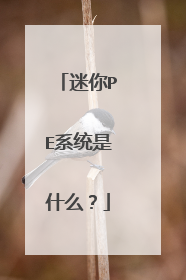 迷你PE系统是什么?