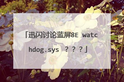 迅闪讨论蓝屏8E watchdog.sys ???