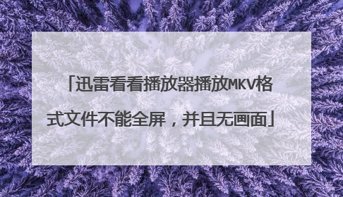 迅雷看看播放器播放MKV格式文件不能全屏,并且无画面