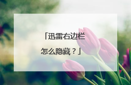 迅雷右边栏怎么隐藏?