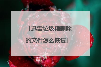 迅雷垃圾箱删除的文件怎么恢复