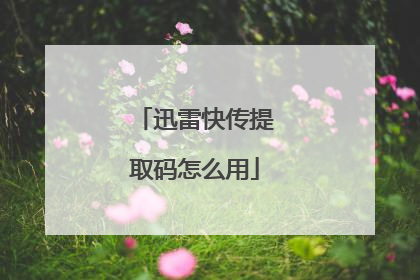 迅雷快传提取码怎么用