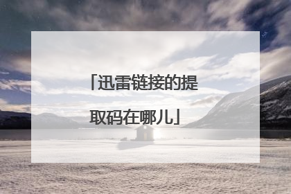 迅雷链接的提取码在哪儿