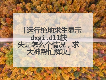 运行绝地求生显示dxgi.dll缺失是怎么个情况,求大神帮忙解决