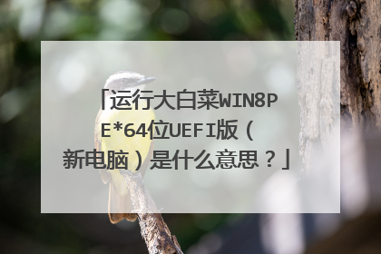 运行大白菜WIN8PE*64位UEFI版(新电脑)是什么意思?