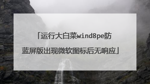 运行大白菜wind8pe防蓝屏版出现微软图标后无响应