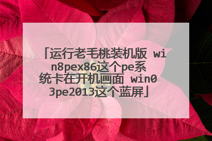 运行老毛桃装机版 win8pex86这个pe系统卡在开机画面 win03pe2013这个蓝屏