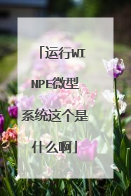 运行WINPE微型系统这个是什么啊
