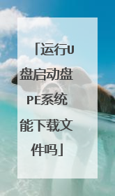 运行U盘启动盘PE系统能下载文件吗