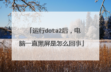 运行dota2后,电脑一直黑屏是怎么回事