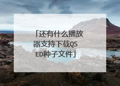 还有什么播放器支持下载QSED种子文件