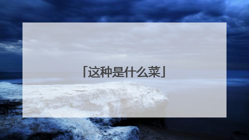 这种是什么菜